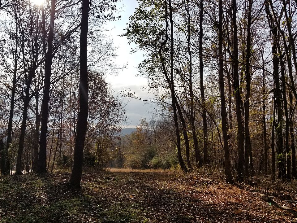 1st image of 1841 Lobelville Hwy