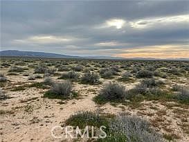 4th image of LOT One