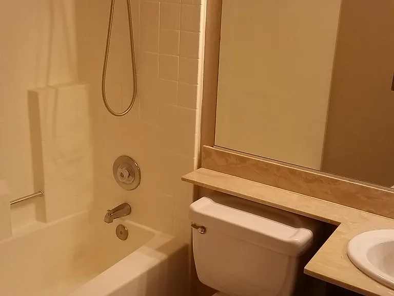 Guest bathroom