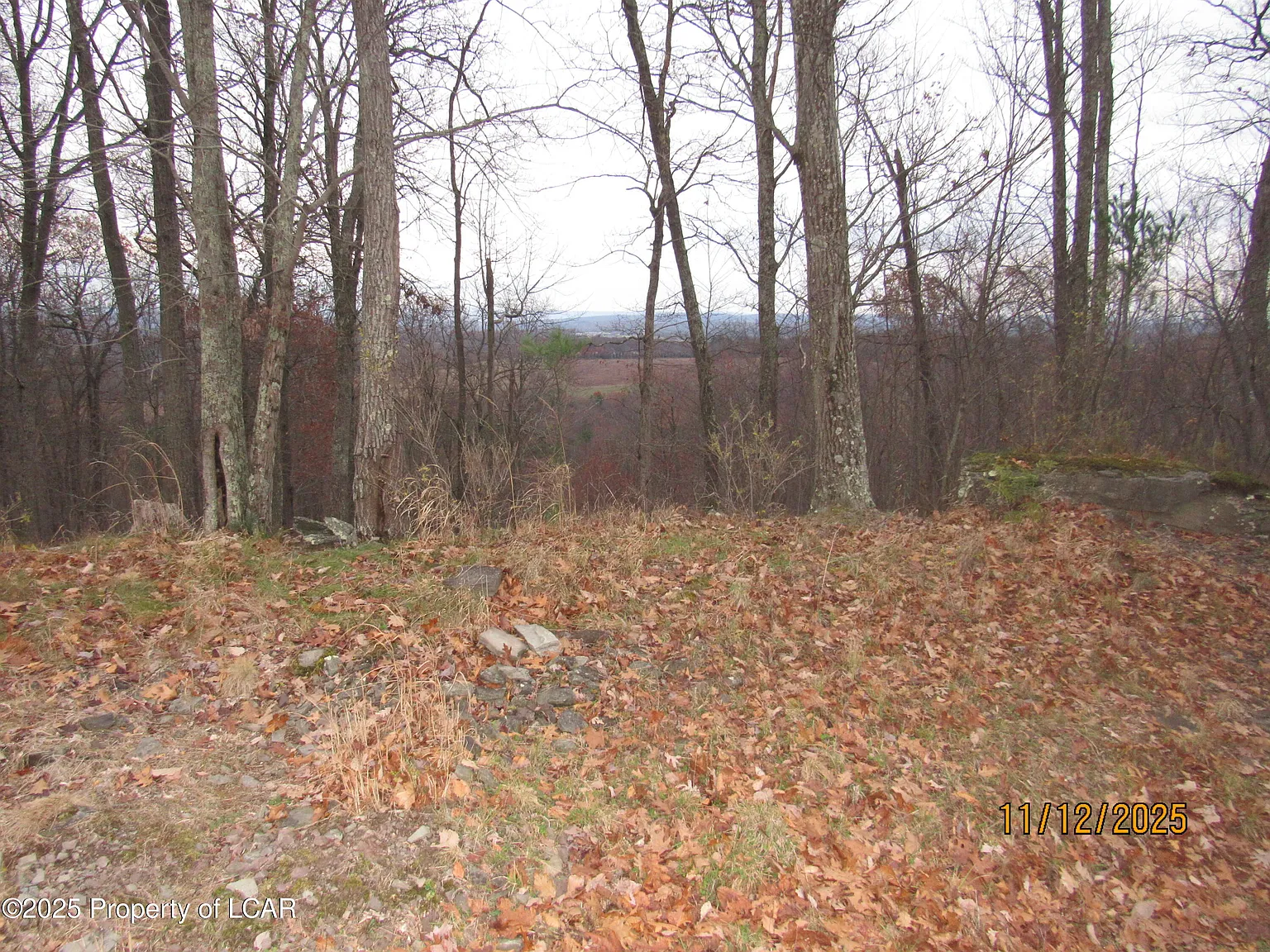 115 Manorview Dr photo 1