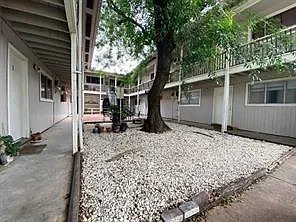 Building Photo - 205 Avondale St #5