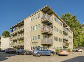Spacious Apartment on Alki Beach!, 36