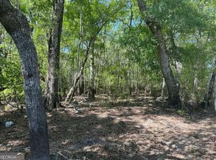 0 Lewis Lndg, Nahunta, GA 31553