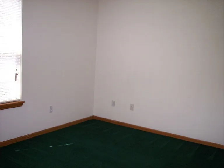 509 Shotwell St — Photo 7
