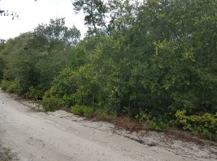 NE 239th Pl, Fort McCoy, FL 32134