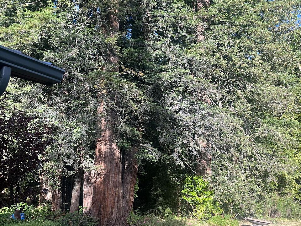 5488 Briceland Rd, Redway, CA 95560 Zillow