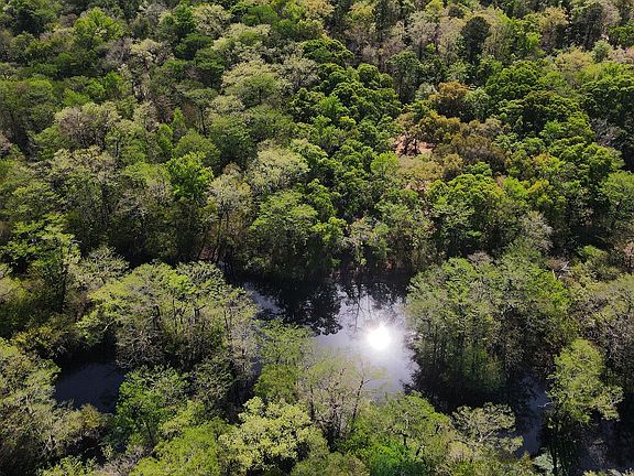 5th image of 315 High Bluff Rd