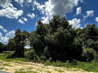 3454 SW 130th Lane Rd #10, Ocala, FL, 34473