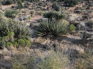 48951 Tamarisk Dr, Morongo Valley, CA 92256