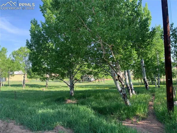 247 Will Scarlet Dr, Divide, CO 80814