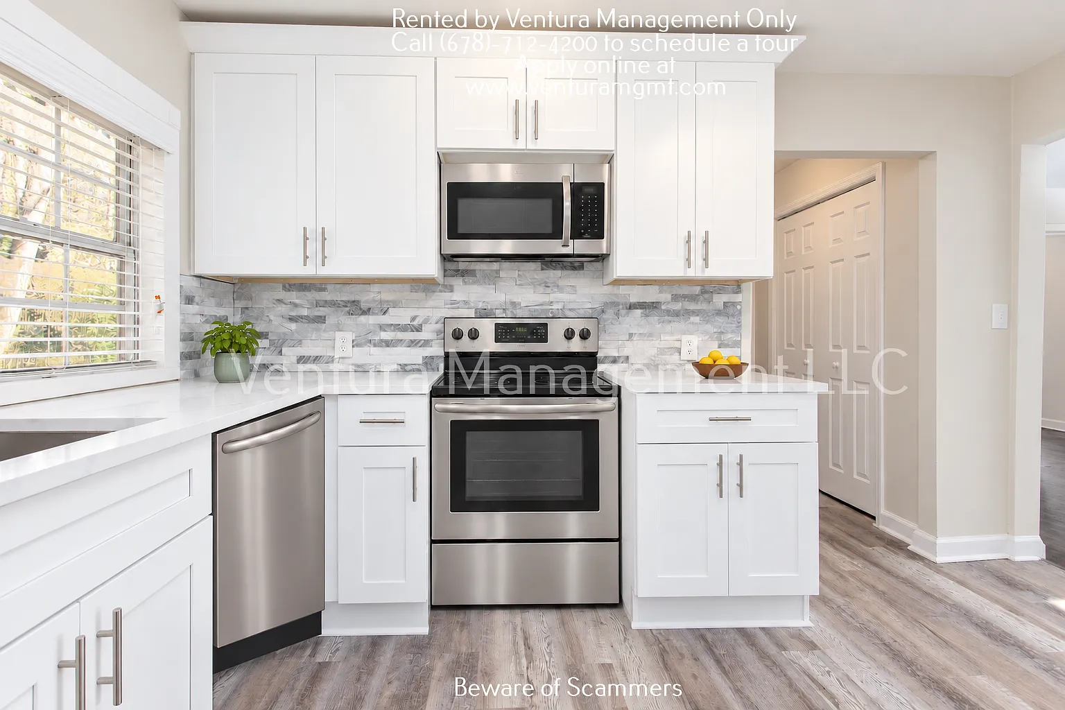 2 bed, 704 sqft, $1,390 — Photo 4