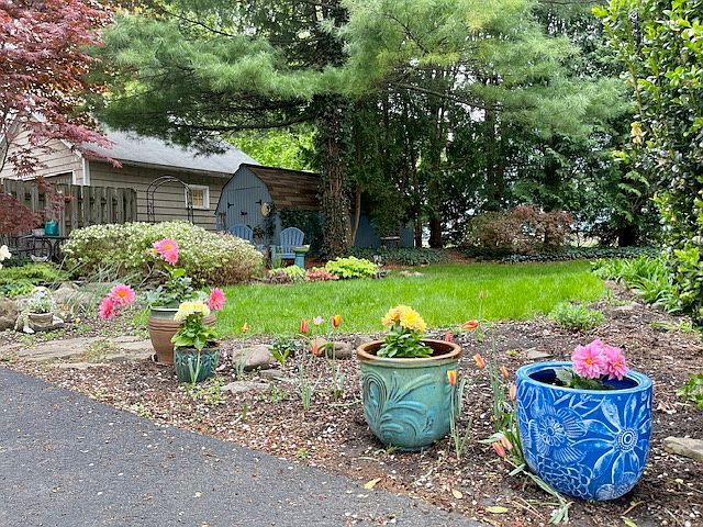 Secluded and private shared back yard