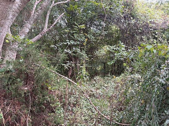 5th image of 0 E Georgia Rd