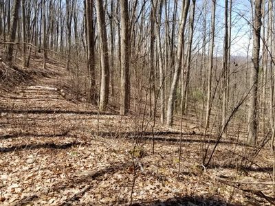 TR 1 Chancey Ridge Dr, Hiawassee, GA, 30546