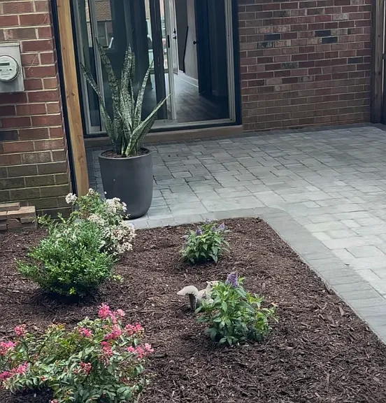 Backyard: new pavers, outdoor garden - just completed.