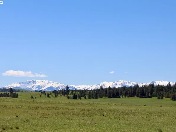 75964 Elk Mountain Rd, Enterprise, OR 97828