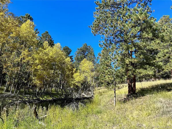 311 Pine Drive, Bailey, CO 80421