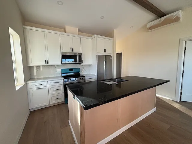 1 bed, 815 sqft, $3,100 — Photo 3