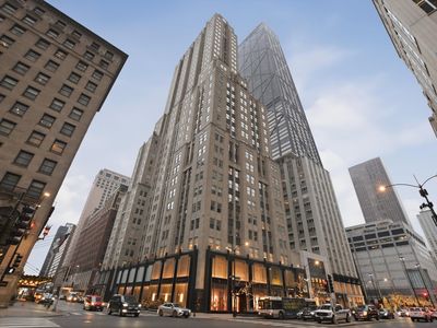 159 E Walton Pl APT 13A, Chicago, IL, 60611