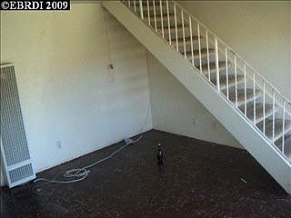2nd image of 33620 11th St