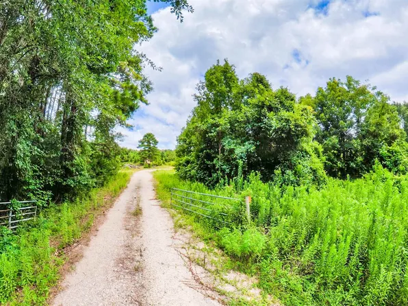 Tbd County Road 307, De Berry, TX 75639