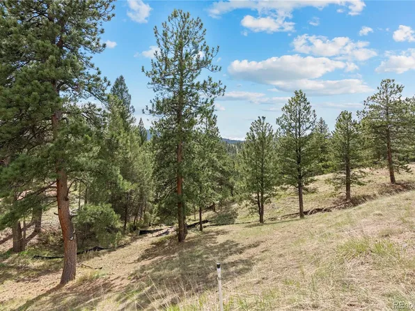 5207 Mountain Vista Lane LOT 14, Evergreen, CO 80439