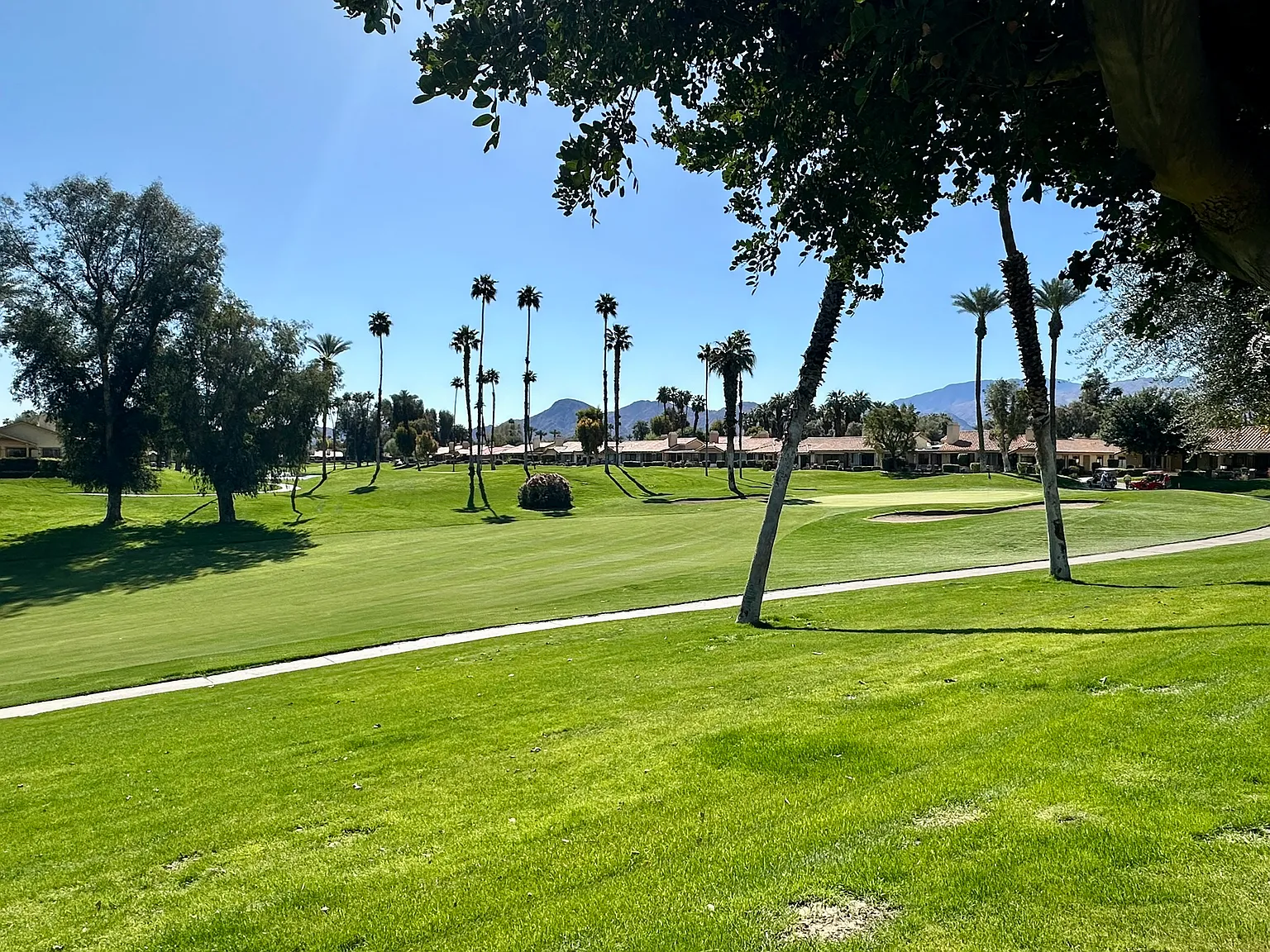 3 bed, 1584 sqft, $7,000 — Photo 3