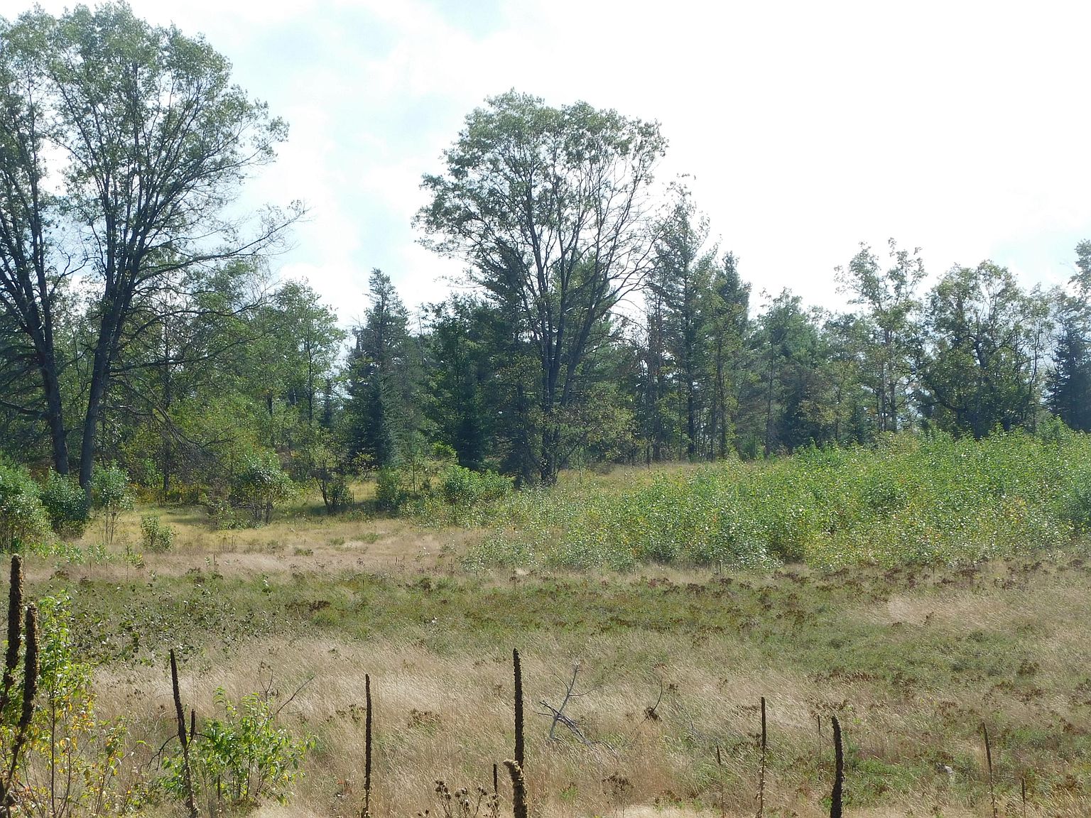 2344 Island Lake Road 20 Acres, Comins, MI 48619 Zillow