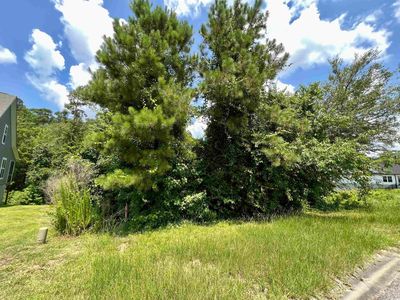 286 Rivers Edge Dr., Conway, SC, 29526