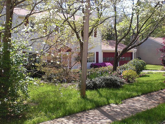 Front of house w/dogwoods