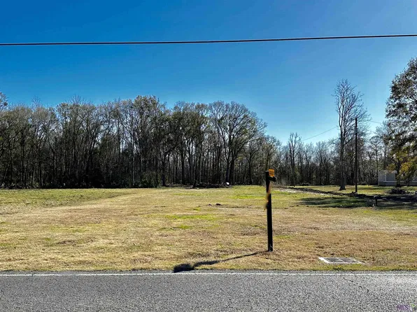 LOT 1 Bayou Narcisse Rd, Gonzales, LA 70737
