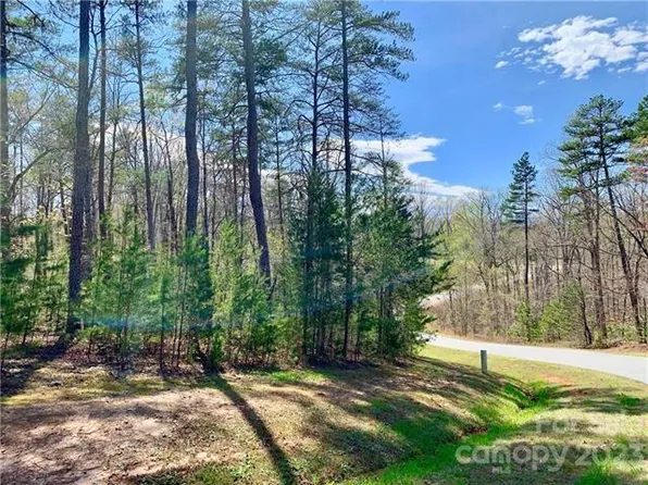 LOT 30 Shady Bark Ln Lot 30, Rutherfordton, NC 28139