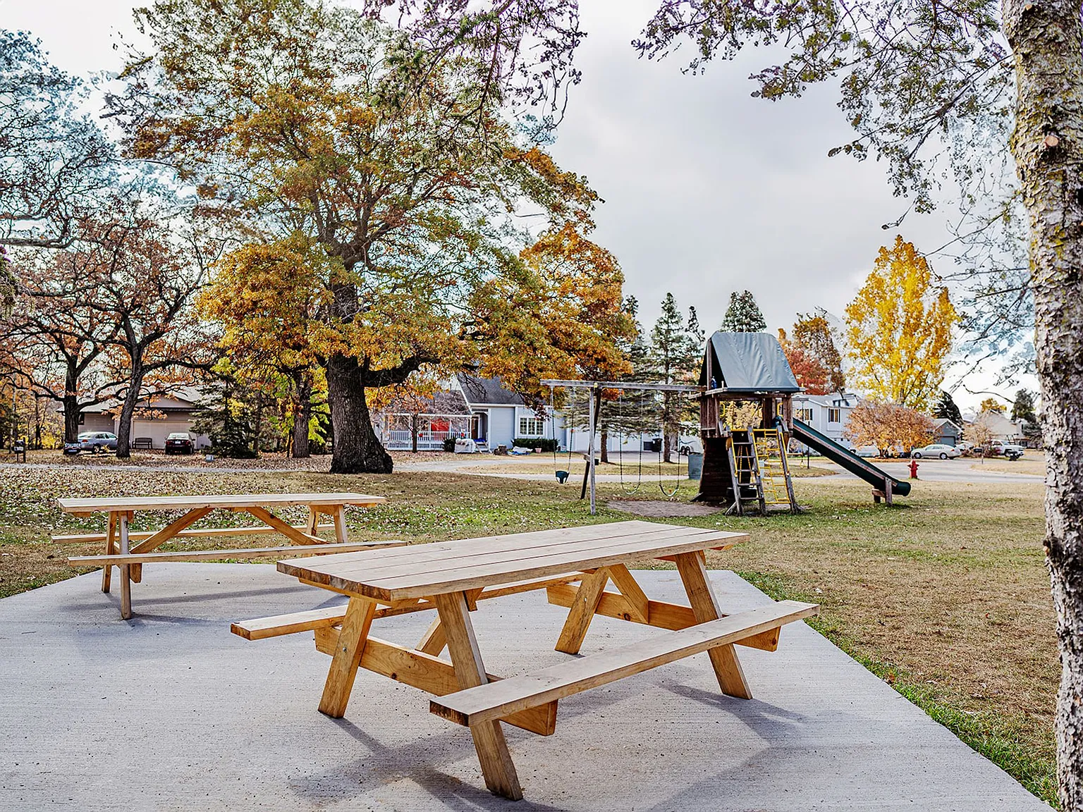 Ashwood Birchwood Apartments — Photo 4