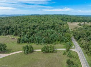 2 Pond View Ln, Hampton, NJ 08827