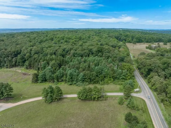 2 Pond View Ln, Alexandria Twp., NJ 08827