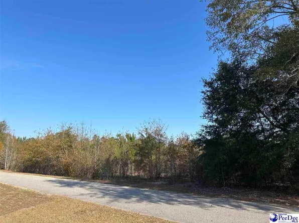 LOT 57 Berry Rd, Latta, SC 29565