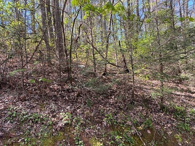 2nd image of 1124 Rose Pass Lot 1124