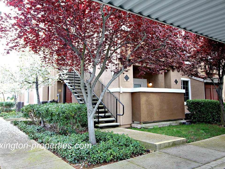 1st image of 885 Halidon Way APT 1412