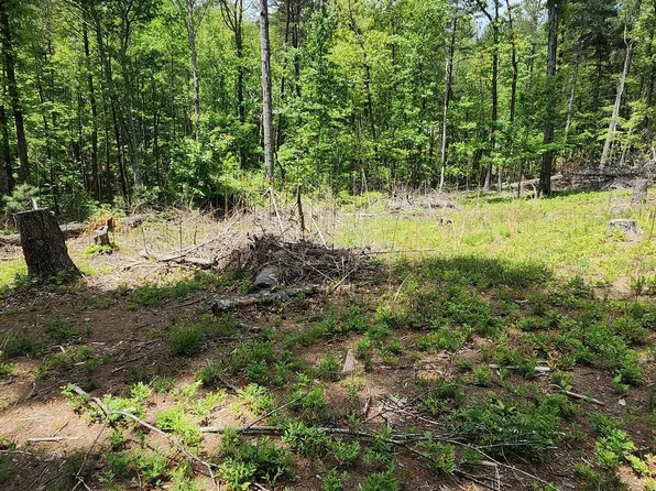 1361 Soque Ridge Cir, Demorest, GA 30535