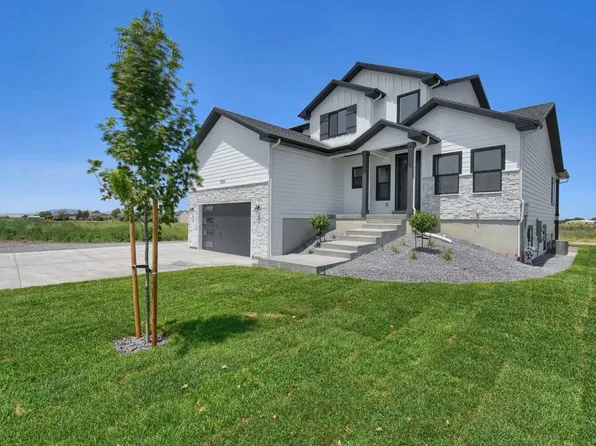 Edgeworth Plan, Blueberry Springs | OLO Builders