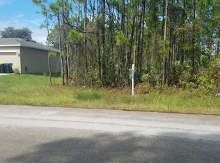 399 Scodella St SW, Palm Bay, FL 32908