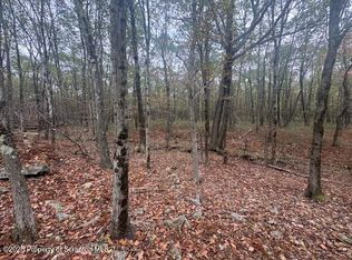 60 Laurel St, Carbondale, PA 18407