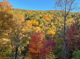 8075 Snake Hollow Rd, Sneedville, TN 37869