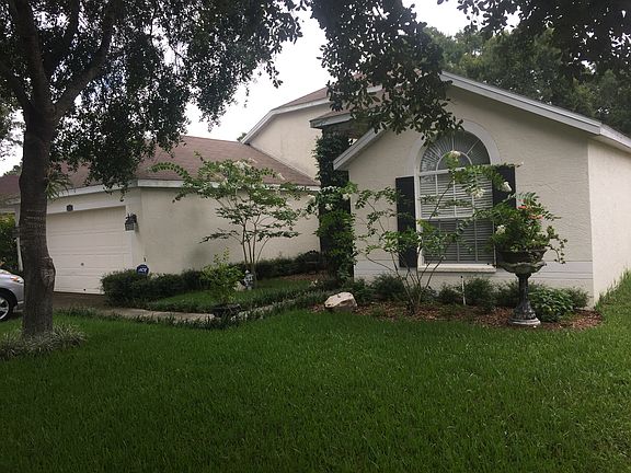 2nd image of 11705 Carrollwood Cove Dr
