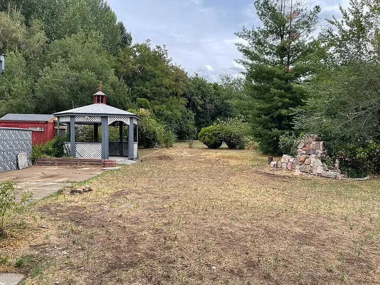 Back yard