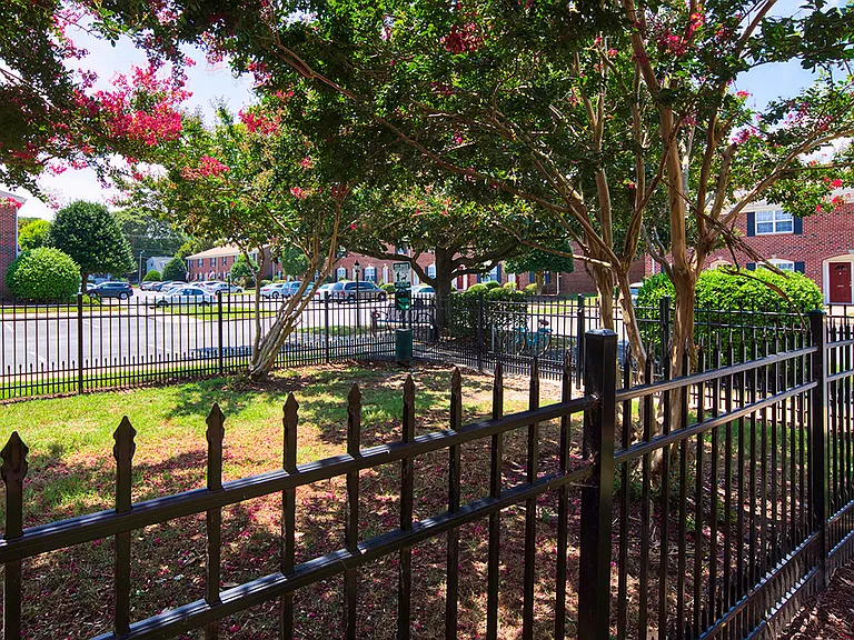 Dog Park