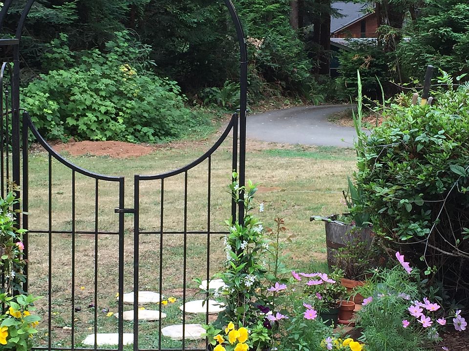 Trellis and patio