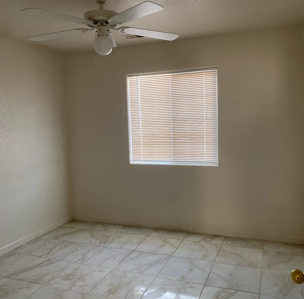 710 Mustang Way — Photo 2