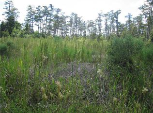 19328 Starry St, Orlando, FL 32833