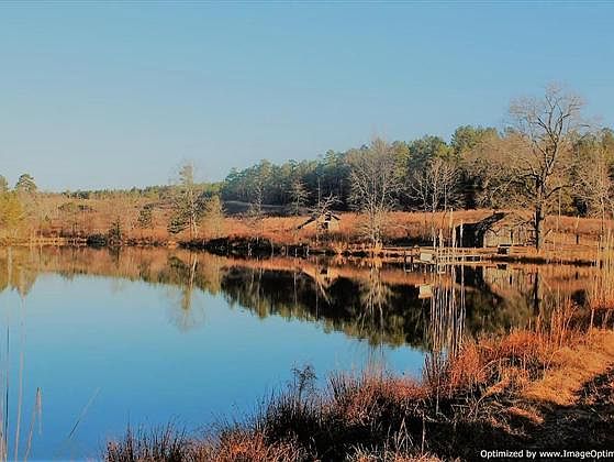1st image of 4005 Attala Road 5205